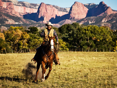 Guest / Dude Ranches